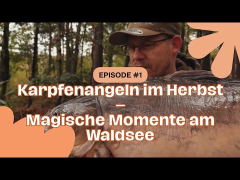 🍂 Karpfenangeln im Herbst – Magische Momente am Waldsee 🎣🌲
