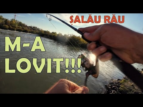 Zona fierbinte de șalău – M-am dus după pește mic și uite ce-am găsit!