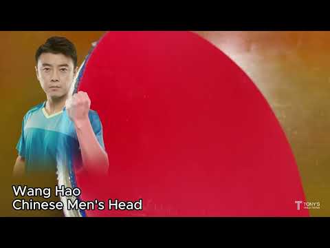 Loki Rxton IX Table Tennis Rubber - Product Review
