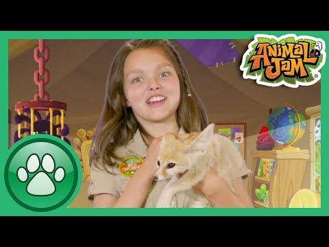 Wild Explorers - Meet a Fennec Fox!