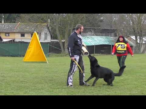 Svod NO 2017 - Xandor Manepo Ideál