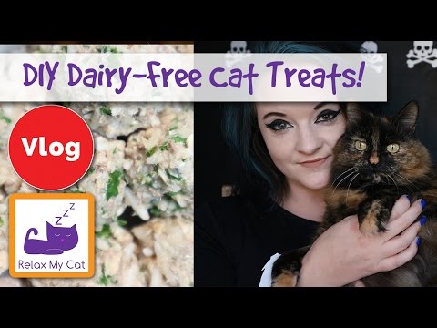 How to Make Dairy-Free Cat Treats! Sardine and Liver Dairy-Free Cat Treat Recipe!