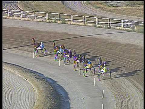 Trotto 08/07/2017 - 2ª prova di qualifica