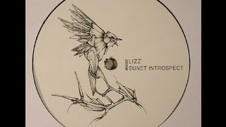 LIZZ - Sunet Introspect