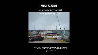 #갑오징어낚시#갈치낚시#제주선상낚시 #제주도낚시 #제주갑오징어 #제주갈치#제주도 #제주여행