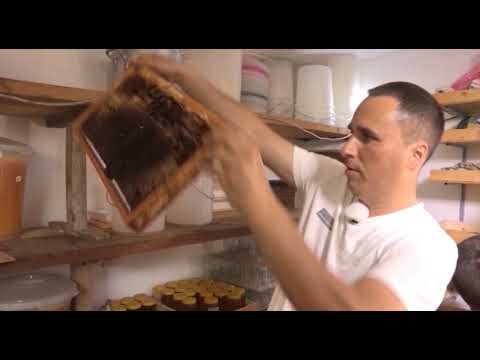 Boja meda ep.44 08.01.2019. - Analiza pčelarske sezone u Srbiji, Higijena pčelinjih društava..