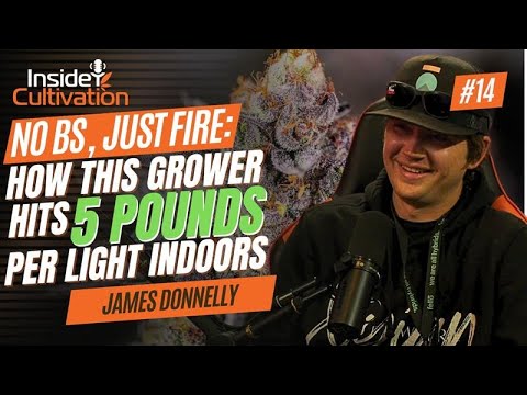 No BS, Just Fire: How This Grower Hits 5 Pounds Per Light Indoors