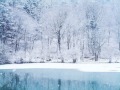 Aretha Franklin-Winter Wonderland