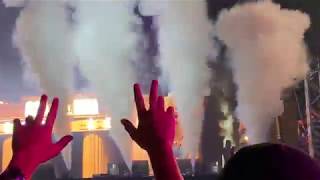 Cherry Lady Capital Bra