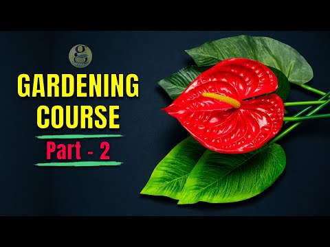 Advanced Gardening Techniques: Beyond the Basics | Vibepedia