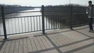 Goodbye Goat (Farewell Floppy)