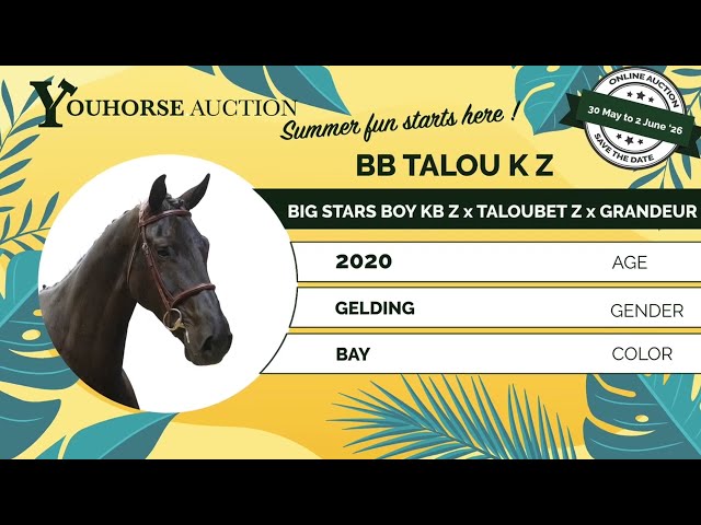 BB Talou K Z