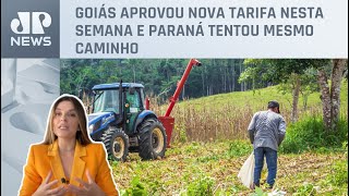 Kellen Severo: Agronegócio vira alvo de novas taxações