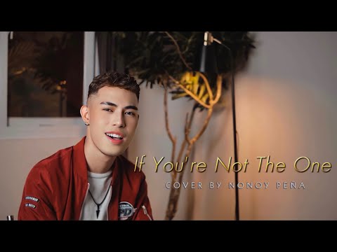 If You're Not The One | Cover by Nonoy Peña