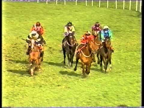 1998 Scilly Isles Novices' Chase