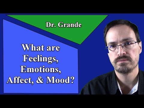 What are Emotions, Feelings, Affect, and Mood?
