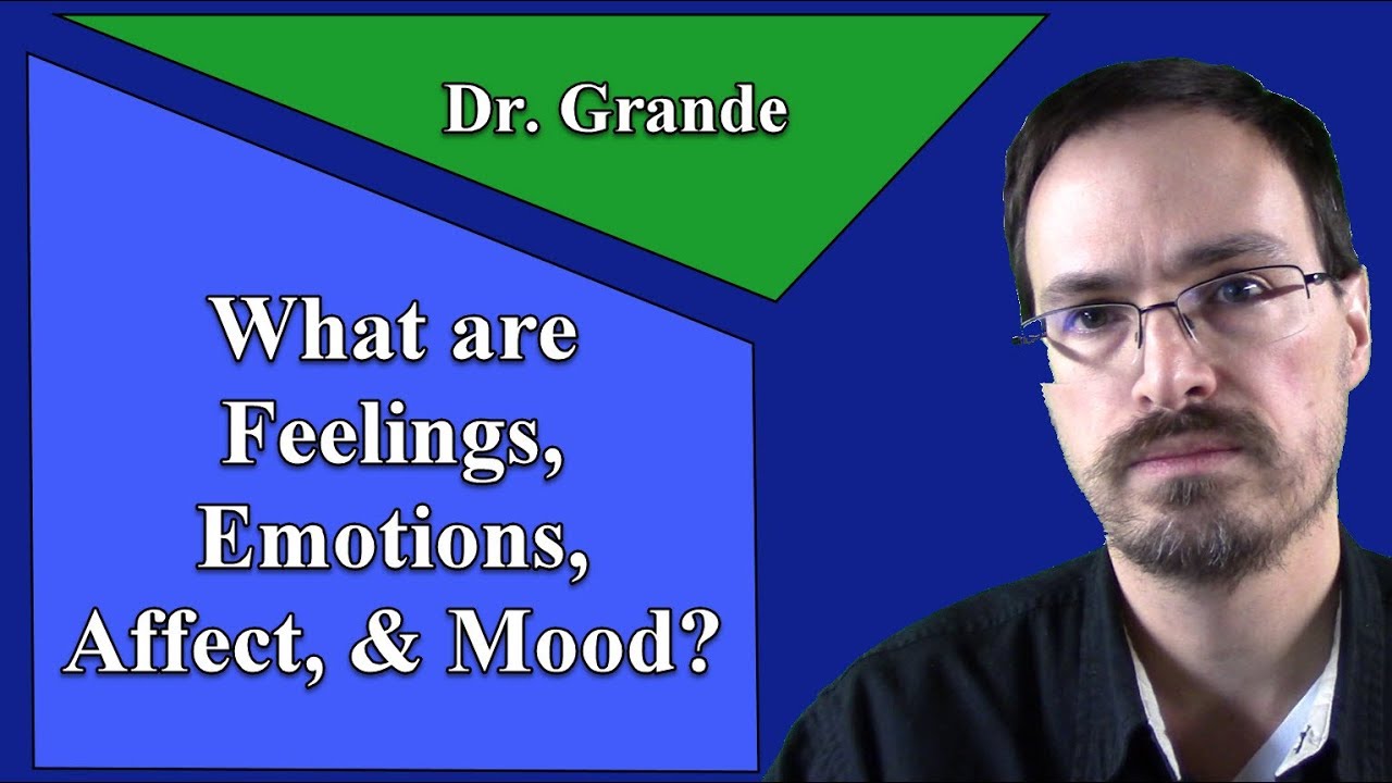 What are Emotions, Feelings, Affect, and Mood?
