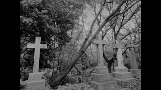 Ich wollte Hinaus in Den Garten   Sopor Aeternus   vostfr