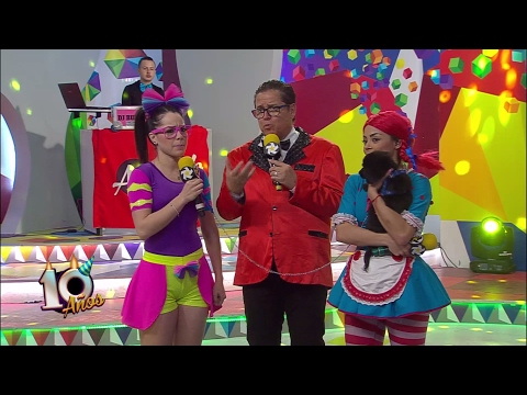 Conoce esta asociación de perritos adoptados