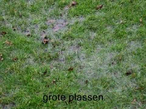 Afgelasting V.V. "Steenbergen" 1 - HVV'24 1