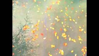 Koss - Endless Flight.m4v