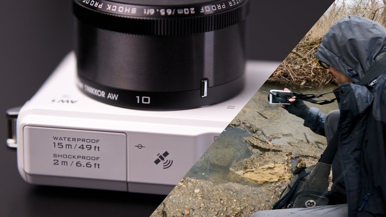 Video thumbnail for Video Review 1