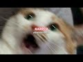 Hadippa Mika Singh Slowed Reverb