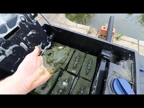 Neglected dirty pond Cleaning