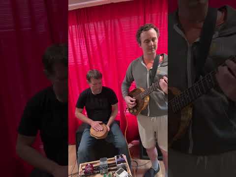 Electric turtle shell space drum | Reverb