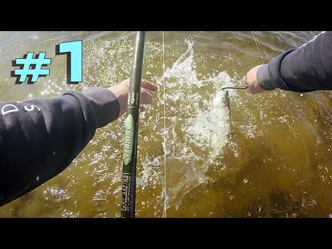 Näin kalastat meritaimenta rannalta | Gotlanti | Osa 1