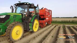 Colheitadeira de batata Grimme DR1500 a venda - Imagem 4 | Agronetto MZ Colheitadeira de batata Grimme DR1500 | Imagem 4 - Agronetto