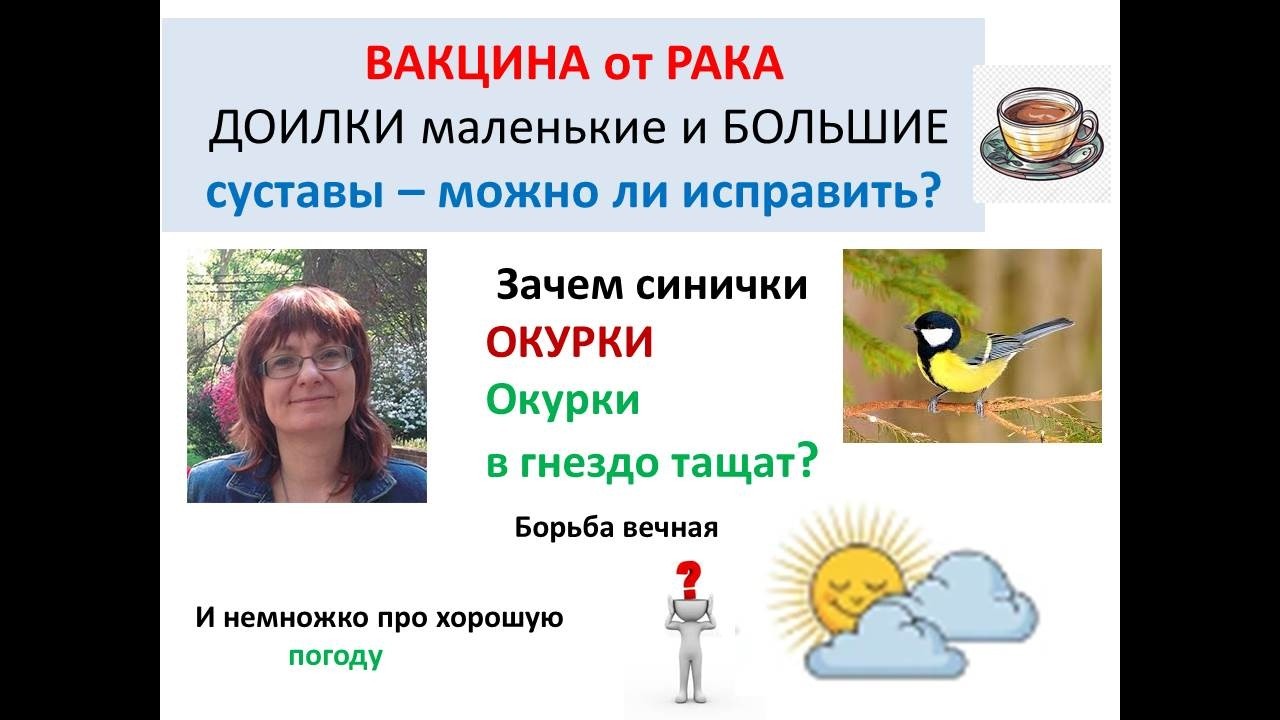 Опять вакцина от рака ?? зачем синичкам ОКУРКИ