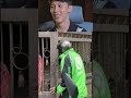 Gara Gara Prank Ojol Shorts