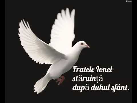 Fratele Ionel-stăruință după duhul sfânt 2018