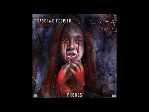 Sascha Ciccopiedi - Find Me (Original Mix)