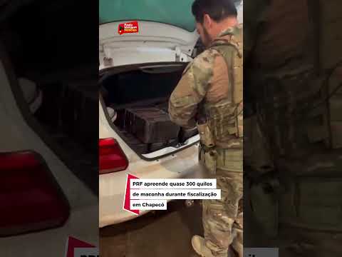 PRF apreende quase 300 quilos de maconha durante fiscalização em Chapecó