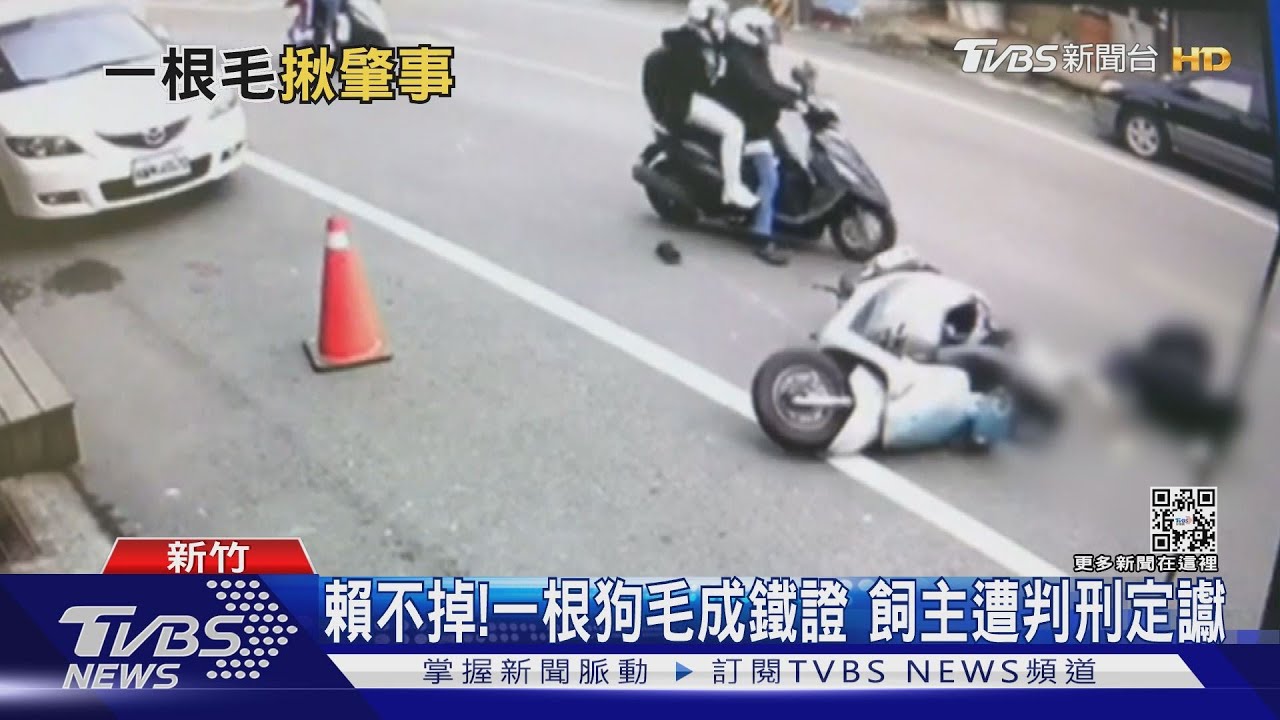 賴不掉! 一根狗毛成鐵證 飼主遭判刑定讞