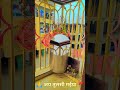 Jay Tulshi Maiya New Bhakti Shorts Video Youtube Status Viralshorts