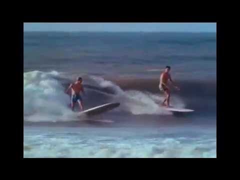 Endless Summer Tribute:  Surf Song