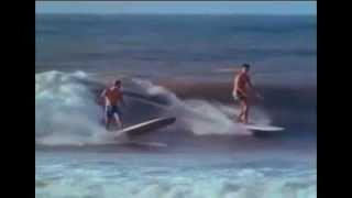 Endless Summer Tribute:  Surf Song
