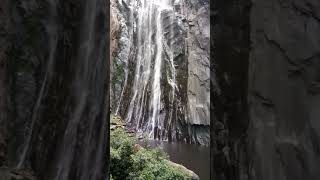 preview picture of video 'Rat tail falls kodaikanal'