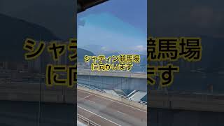 シャティン競馬場   #shorts