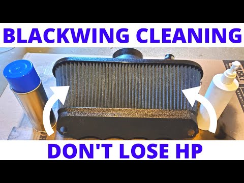C5 Corvette Blackwing Cleaning and Oiling
