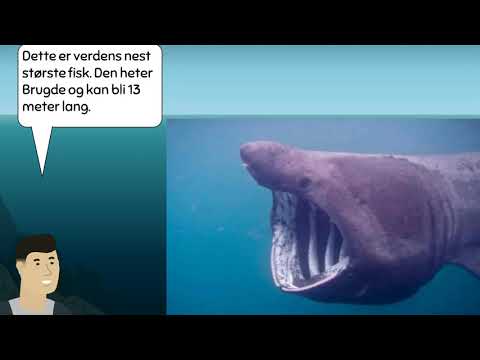 Fisker i det norske havet