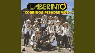 El Capo Del Desierto