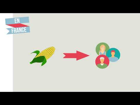download lagu mp3 mp4 Nouveaux Ogm, download lagu Nouveaux Ogm gratis, unduh video klip Nouveaux Ogm