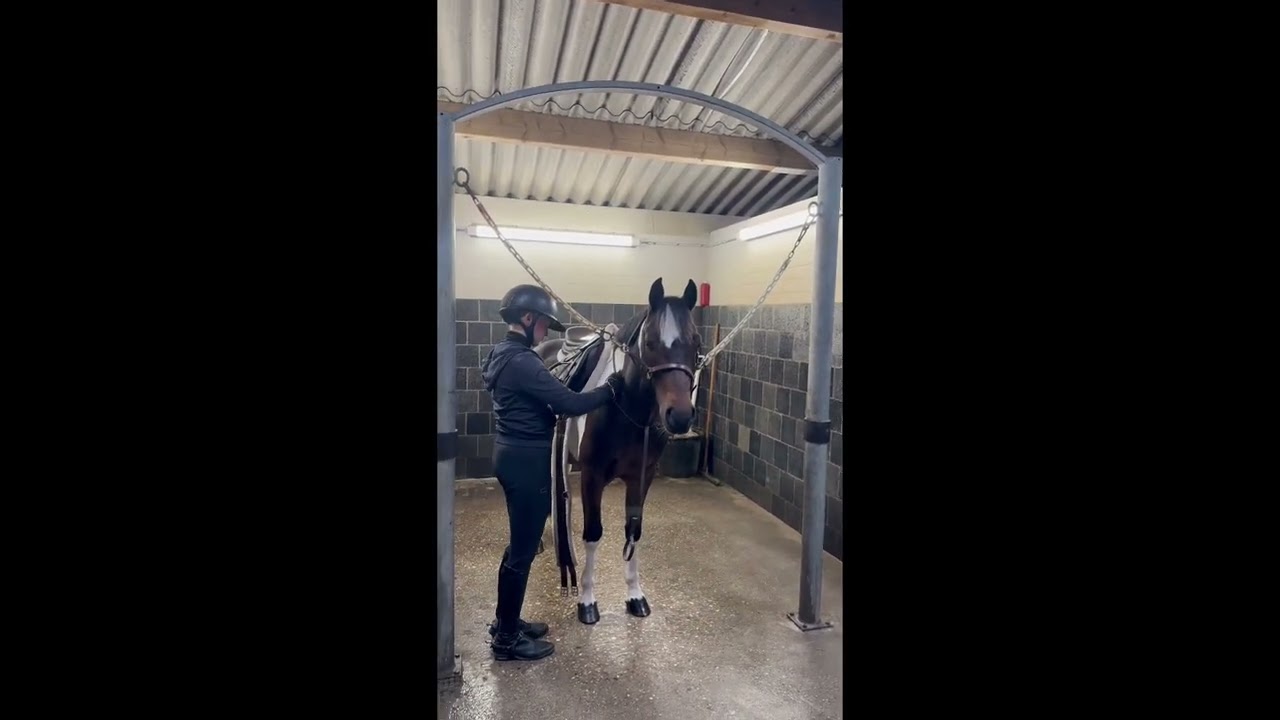 Jesse Bo Duke video 4