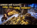 ഒരു മരക്കഷണത്തിൽ ഇത്രയും വലിയ രഹസ്യം