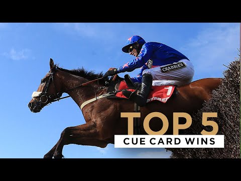 CUE CARD'S TOP 5 WINS INCLUDING AT THE CHELTENHAM FESTIVAL