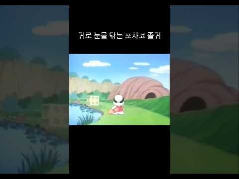 귀로 눈물 닦는 포차코 졸귀 #귀여운영상 #포차코 #귀여운강아지 #산리오 #강아지 #귀여워 #졸귀